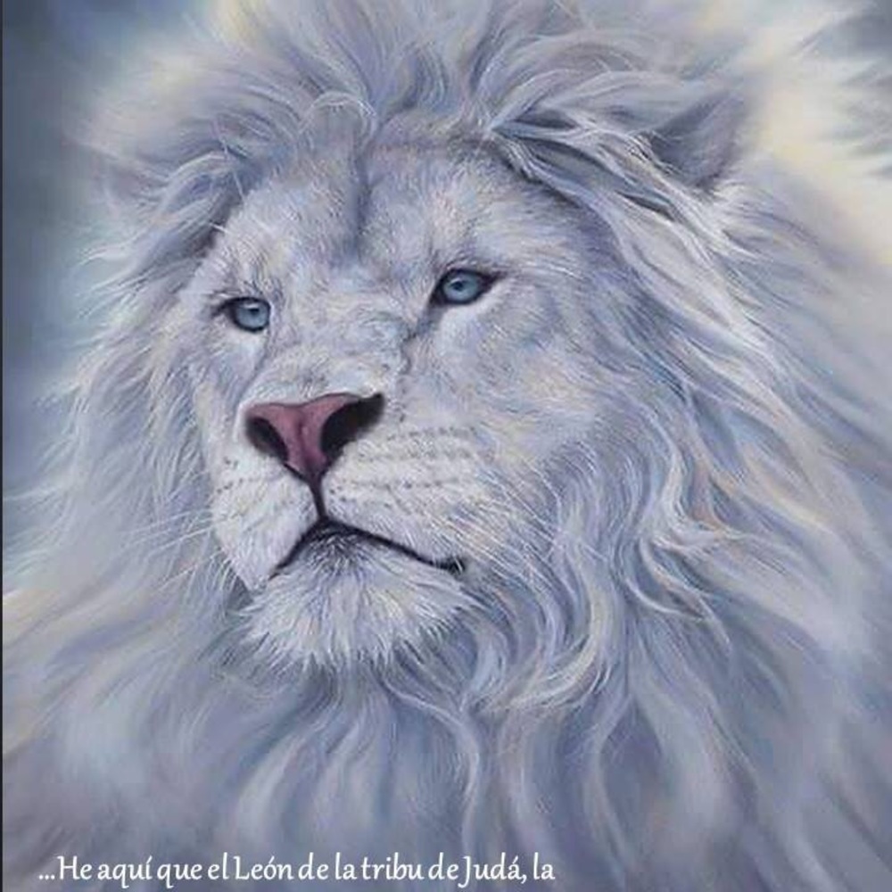 Meet your Posher, Joeljoel